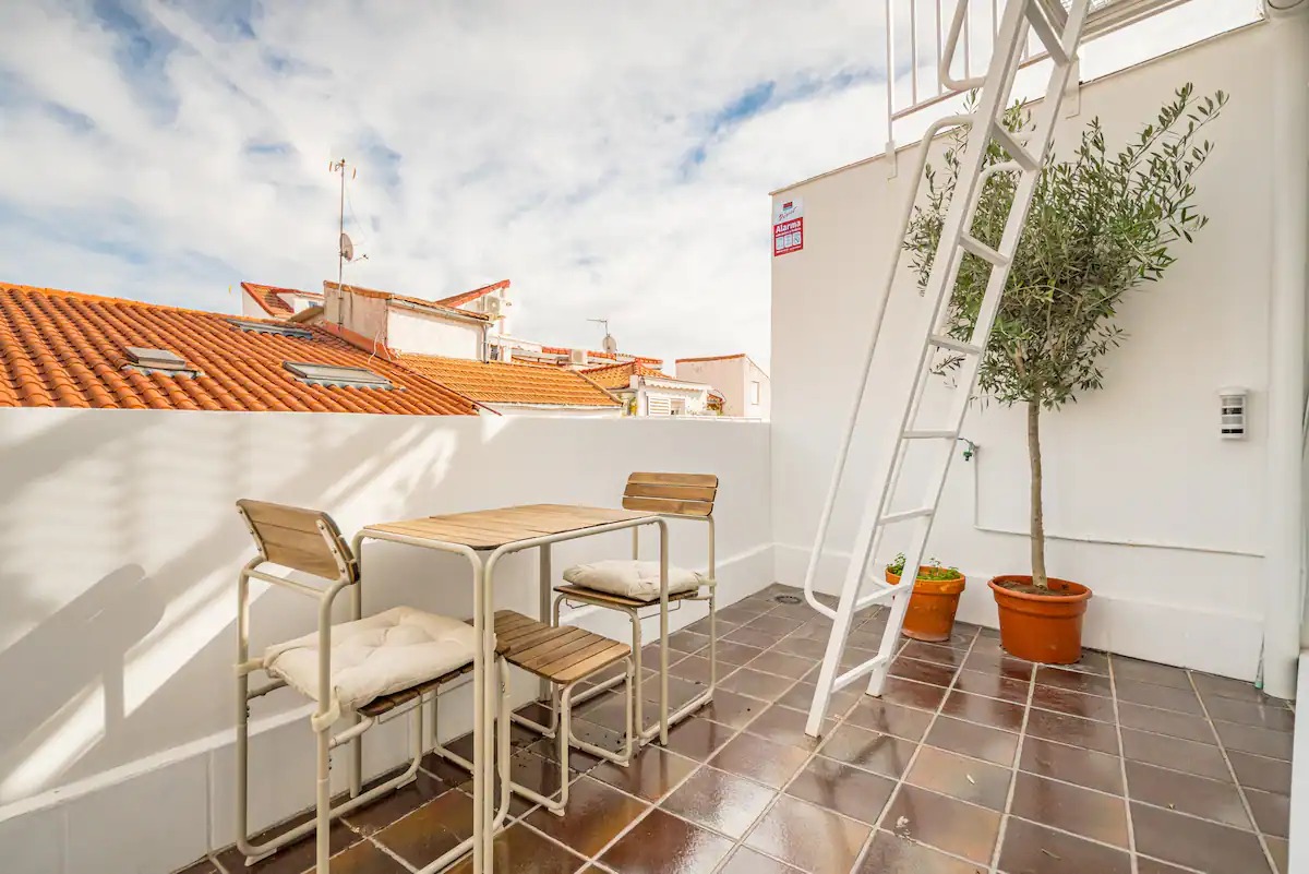 Terracotta-tiled terrace with an olive tree and a white ladder up to the roof